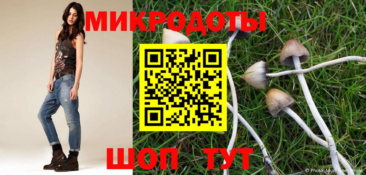 Псилоцибиновые грибы прущие грибы Нижний Тагил