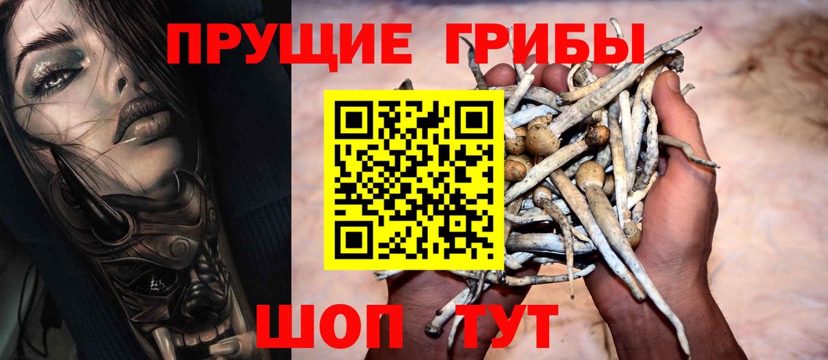 Галлюциногенные грибы Cubensis  где купить   Вход с VPN  Нижний Тагил  Псилоцибиновые грибы Magic Shrooms 